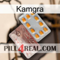 Kamgra new13